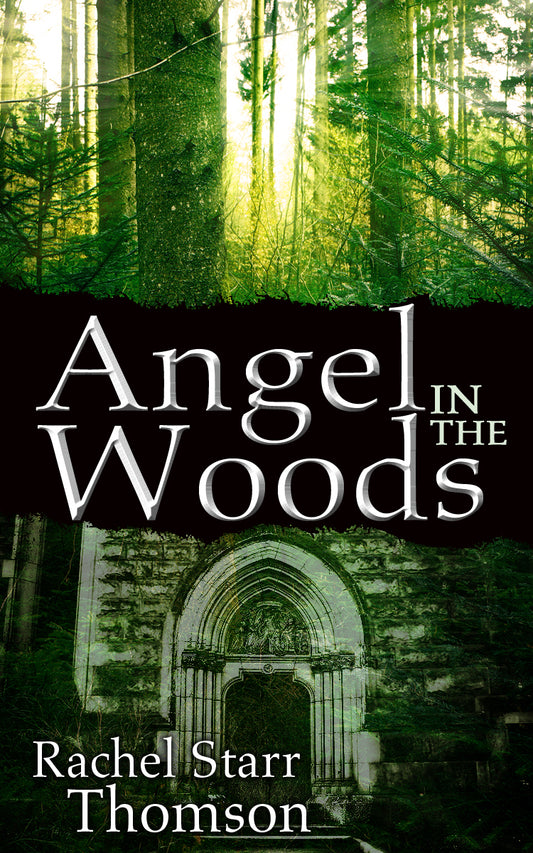 Angel in the Woods [PAPERBACK]