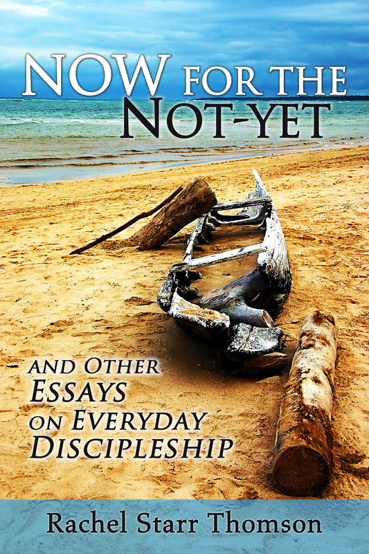 Now for the Not-Yet: and Other Essays on Everyday Discipleship [EBOOK]