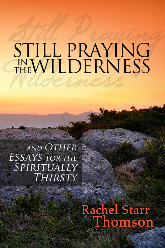 Still Praying in the Wilderness and Other Essays for the Spiritually Thirsty [EBOOK]